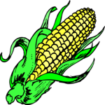 Corn 18