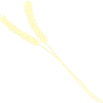 Wheat 02 Clip Art