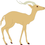 Antelope 02