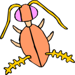 Bug 065 Clip Art