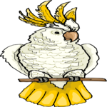 Cockatoo - Sulfer Crested Clip Art