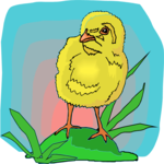 Chick 07 Clip Art