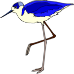 Sandpiper 5 Clip Art