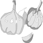 Garlic 03
