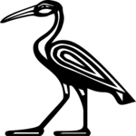 Sacred Ibis, Ibis-God Thoth