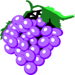 Grapes 05