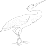 Crane 01