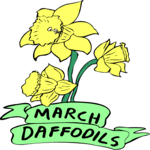 03 March - Daffodils