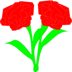 Carnations
