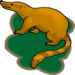 Coatimundi 1 Clip Art