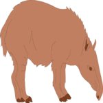 Tapir 1 Clip Art