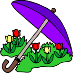Roses with Umbrella