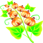 Flower Design 29 Clip Art