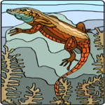 Water Lizard Clip Art