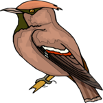 Bird Perched 90 Clip Art