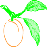 Peach 08 Clip Art