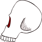 Skull 11