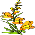 Flower 209 Clip Art