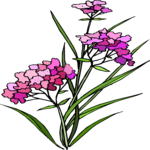 Flower 349 Clip Art