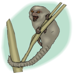 Marmoset - Pygmy Clip Art