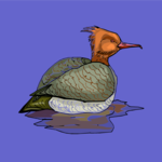 Duck 26 Clip Art