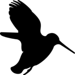 Hummingbird 2 Clip Art