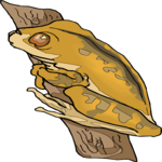 Tree Frog 3 Clip Art