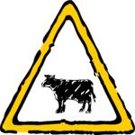 Cattle Crossing