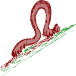 Worm 6 Clip Art