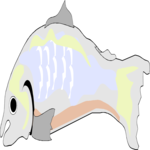 Fish 04