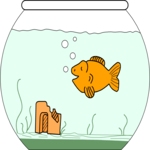 Goldfish 1