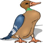 Duck 72 Clip Art