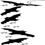 Bats Border