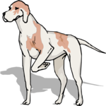 Pointer 4 Clip Art