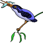 Kingfisher 08 Clip Art