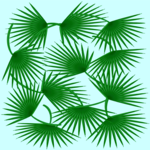 Palm Background