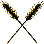 Wheat 6 Clip Art