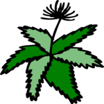 Plant 072 Clip Art