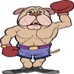 Boxer - Dog