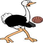 Volleyball - Ostrich