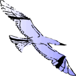 Seagull 05 Clip Art