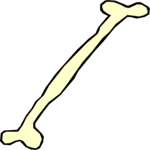 Bone 6