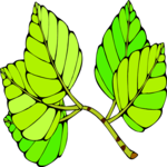 Leaves 78 Clip Art