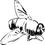 Fly 1 Clip Art