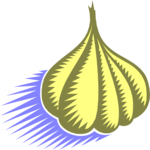 Garlic 01