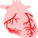 Heart 3 Clip Art