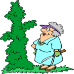 Pruned Bush 2 Clip Art