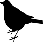 Bird 24 Clip Art