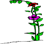 Flower Border 111 Clip Art