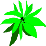 Plant 010 Clip Art